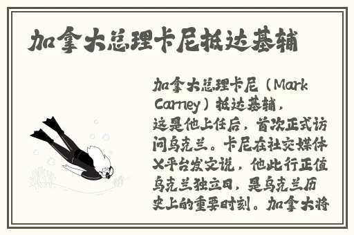 成视频在线